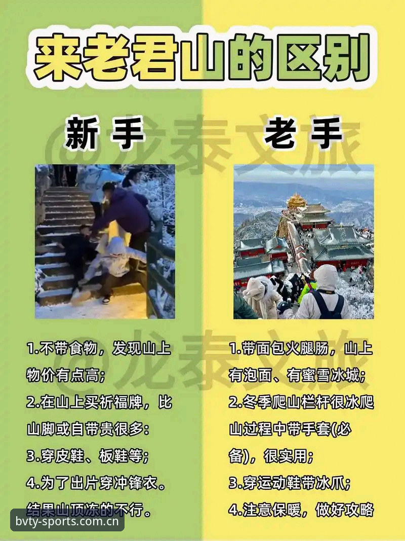 宝威体育安装教程与使用技巧对比：新手vs老手的全面实战指南